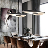 Nordic Hanging Light Home Decor Lamp Resin Suspension Led Pendant Lamps