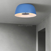 9003C Modern Living Room Bedroom Smart Home Decorative Led Ceiling Light