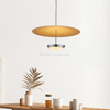 Nordic Home Decor LED Pendant Lamp Housing Hotel Decorative Indoor Hanging Pendant Lighting 