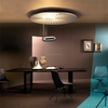 New Design Acrylic Iron Ceiling Lamp Indoor Bedroom Dining Room Decorative Led Ceiling Lighting