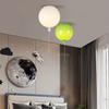 Acrylic Ceiling Light Supplier Modern Decorative Lighting Home Decor Ceiling Lamp