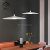 10229P High Quality Modern Decor Lamp For Indoor Living Room Hotel Led Pendant Light