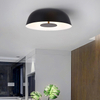 9003C Modern Living Room Bedroom Smart Home Decorative Led Ceiling Light