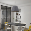 Post Modern Minimalism Hanging Lamp Creative Led Chandelier Pendant Lighting For Indoor Home