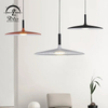 10229P High Quality Modern Decor Lamp For Indoor Living Room Hotel Led Pendant Light