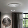 New Design Acrylic Iron Ceiling Lamp Indoor Bedroom Dining Room Decorative Led Ceiling Lighting