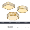 8801C Hotel Decoration Lighting Indoor Home Living Room Modern LED Ceiling Lamp