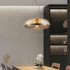 Modern Style Glass Iron Led Pendant Lighting For Home Decoration Indoor Hotel Lamp