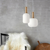 Modern Style Simple Hotel Pendant Lighting Kitchen Glass Pendant Lights Home Indoor Decor Led Pendant Lamp