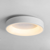 Modern Style Led Ceiling Lamp Simple Design Indoor Home Dining Restaurant Decoration LED Ceiling Lighting