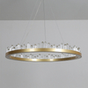 Modern Style LED Chandelier Art Lighting Interior Pendant Lamp for Dining & Living Room Home Decor Chandelier
