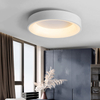 Modern Style Led Ceiling Lamp Simple Design Indoor Home Dining Restaurant Decoration LED Ceiling Lighting