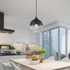 8788P Modern Industrial Lighting Fixtures Glass Shade Led Pendant Light