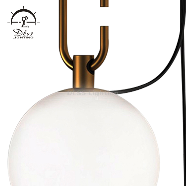 DLSS Lighting Globe Glass Wall Sconce Lighting Hanging Glass Wall Mount Light Plug in Wall Lamp