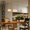 Modern Industrial Lighting Fixtures Glass Shade Led Pendant Lamp
