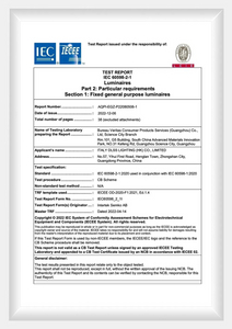 ICE Certificate